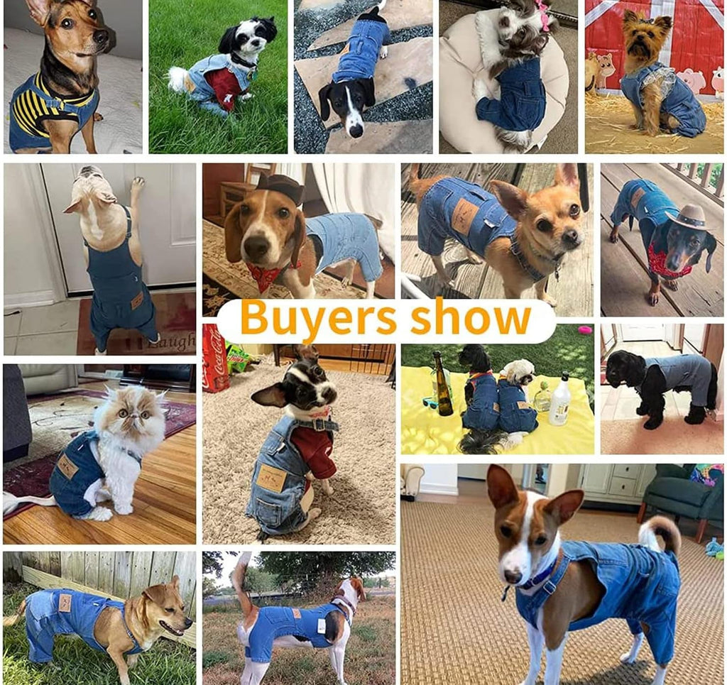 Blue denim dog overalls jumpsuit worn on small dogs, with adjustable shoulder straps