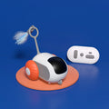 Interactive cat RC car toy with orange side, white-and-black body, whisker brush, remote