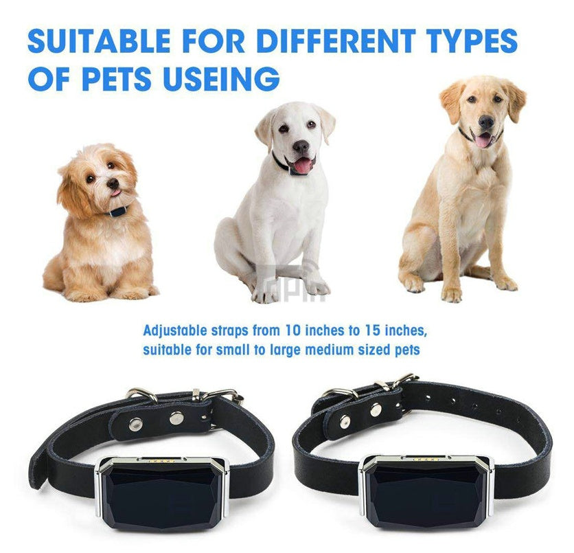 Black pet GPS tracking collar with detachable tracker, shown on small to large dogs