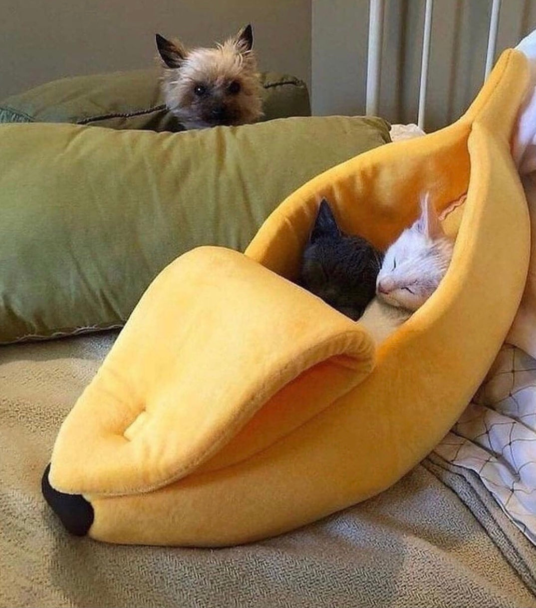 Yellow banana pet bed with two animals napping inside, curved hammock shape