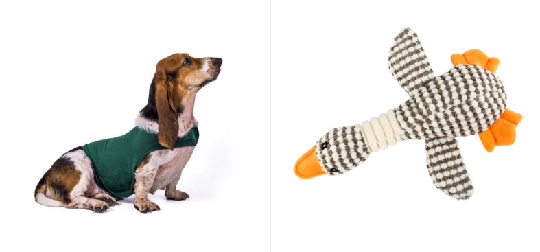 Pet calming vest on dog, green vest; houndstooth plush toy with orange paws