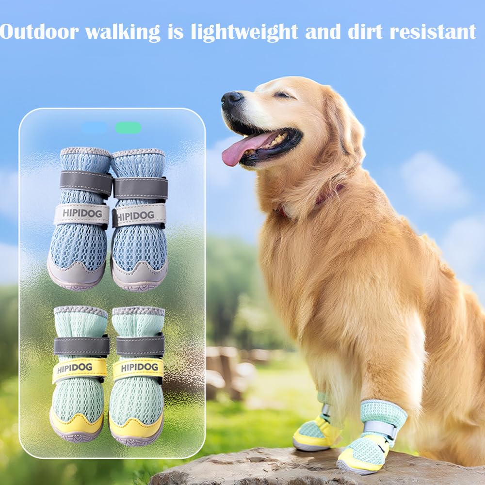 Golden retriever wearing green and yellow mesh dog boots with Velcro closures