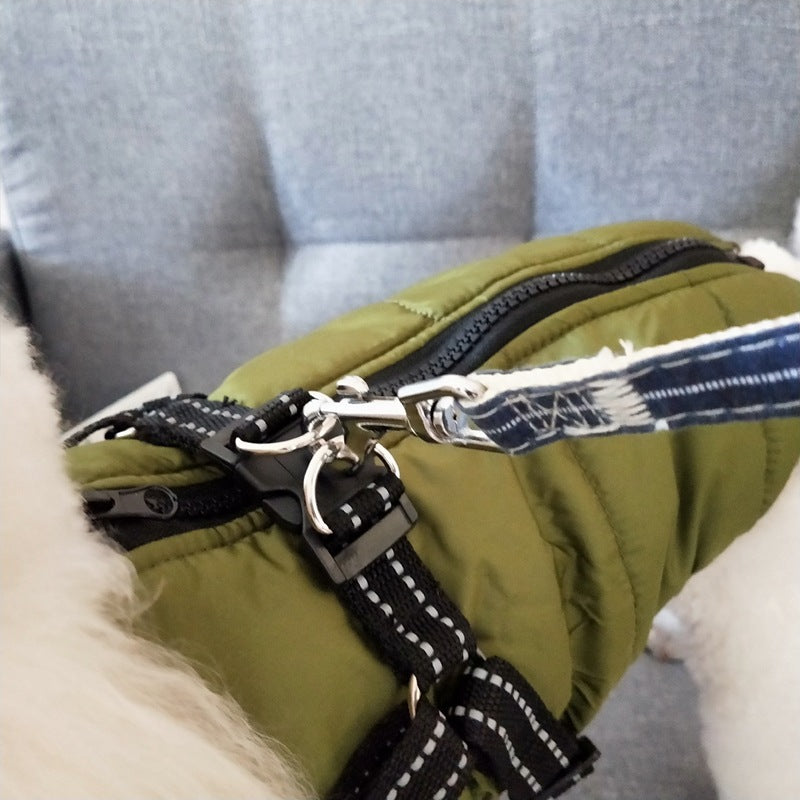 Dog coat harness close-up: olive strap with leash ring and zipper