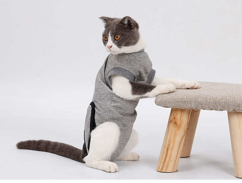 Gray cat recovery suit with black cutout openings while cat sits on a stool