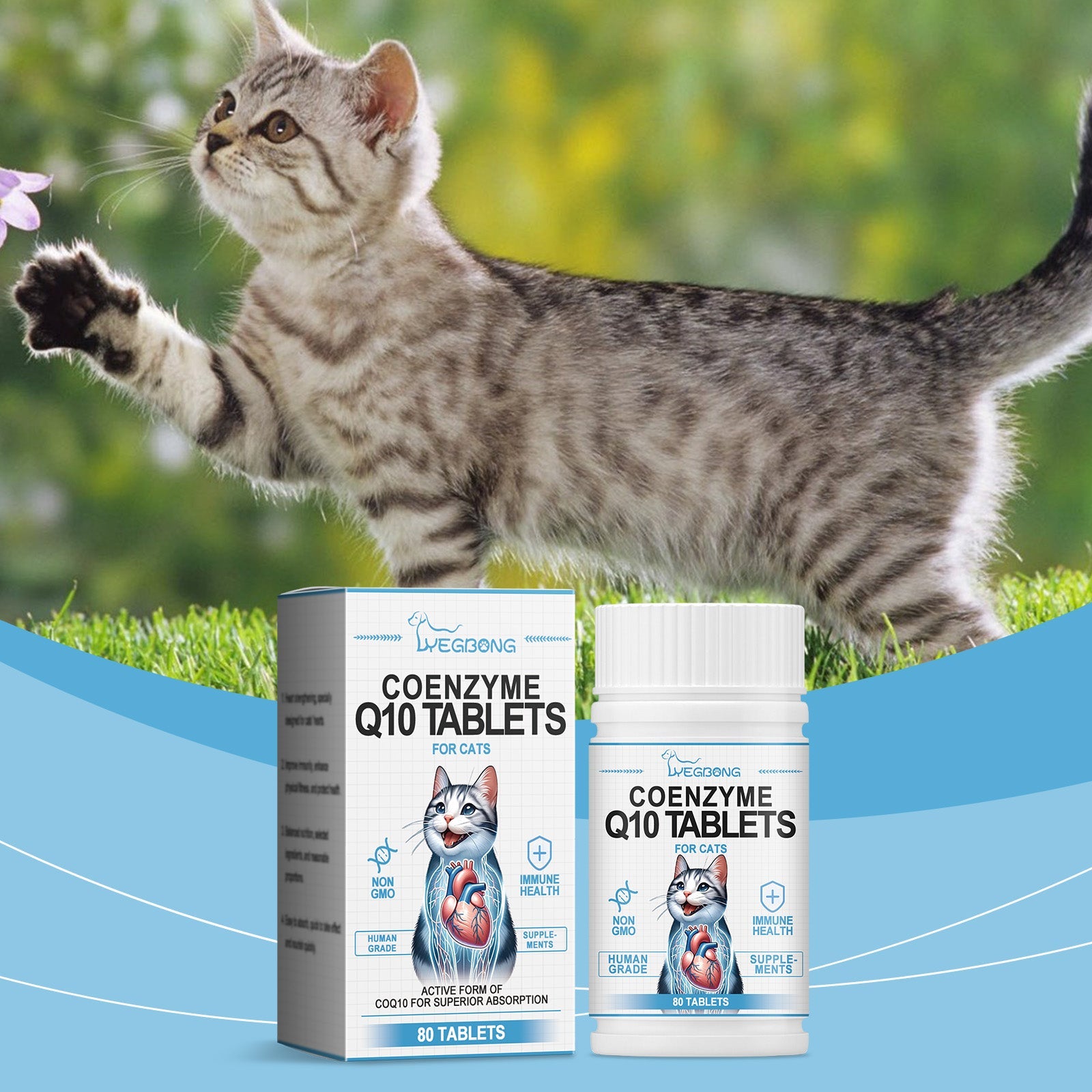 Coenzyme Q10 tablets for cats box and bottle beside a tabby cat
