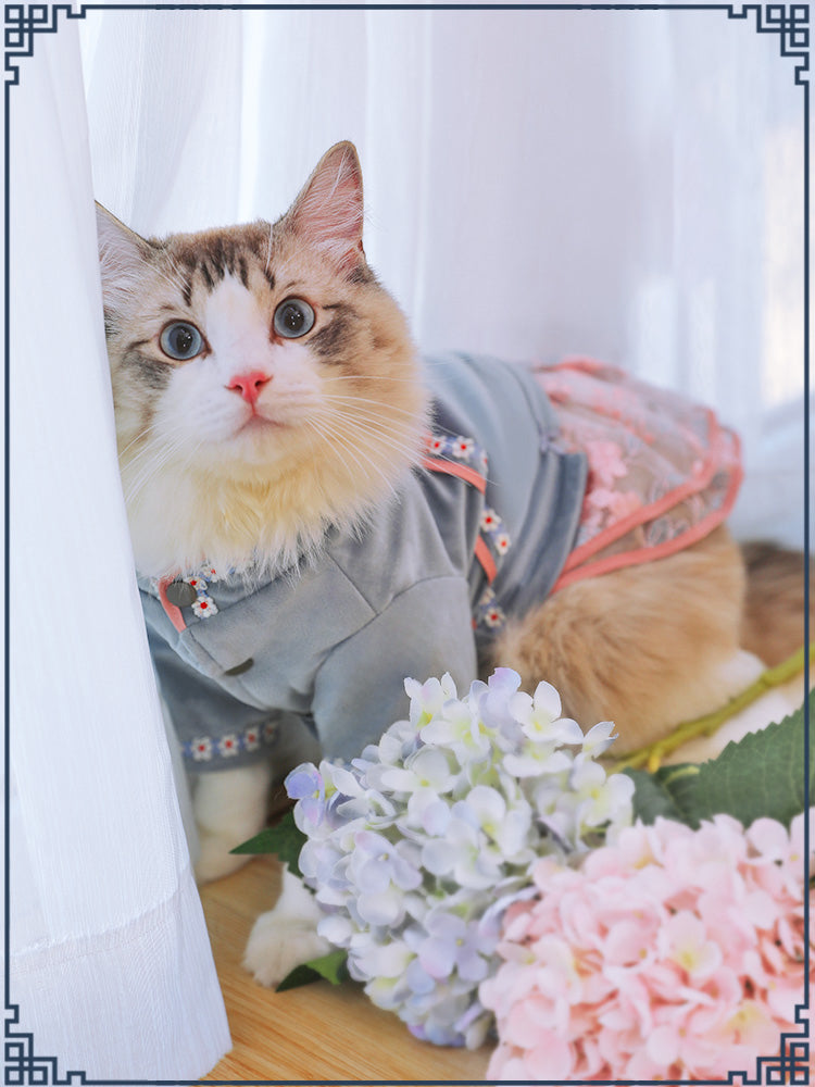 Pet cat clothes on cat, gray garment with pink trim and ruffled skirt