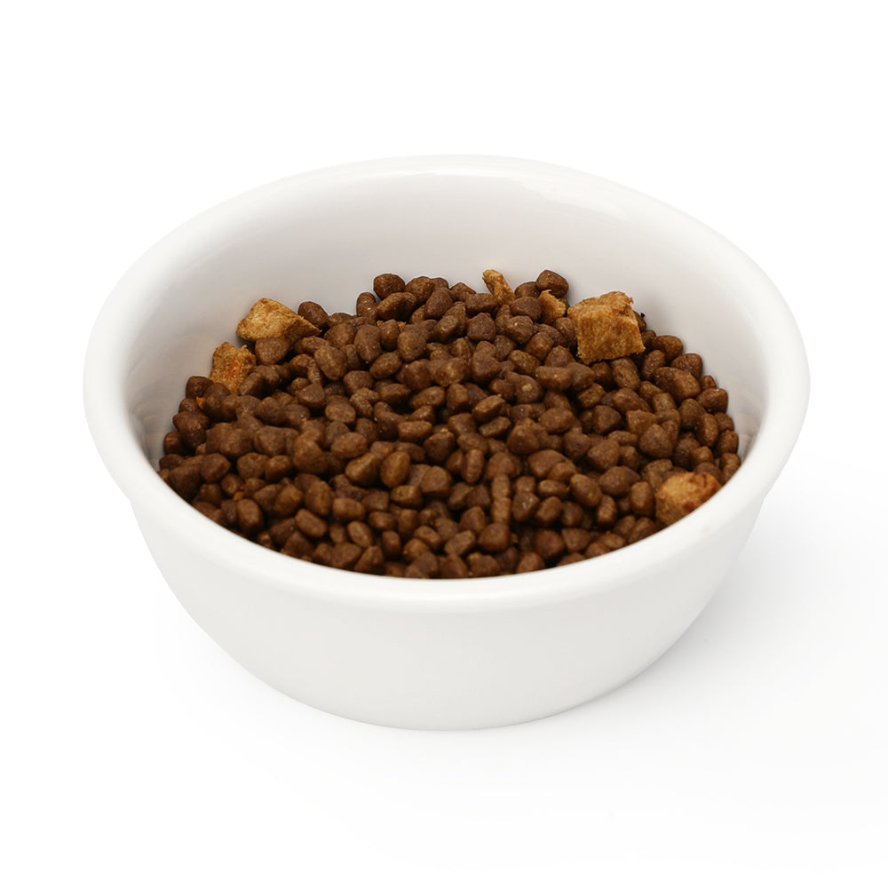 White ceramic pet water bowl filled with dry kibble