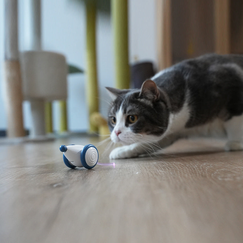 Electric cat mouse toy on floor, blue and white, glowing red light.