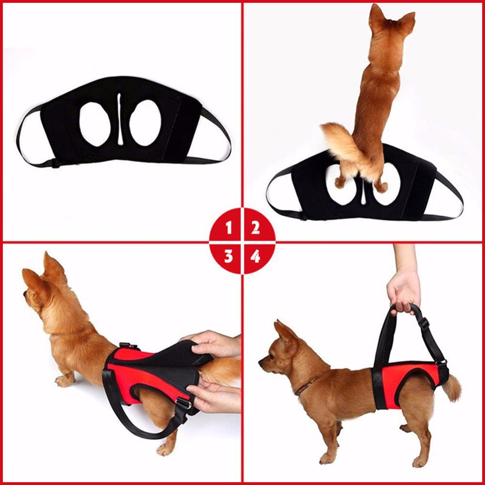 Dog lifting sling shown on dog, red and black single shoulder support