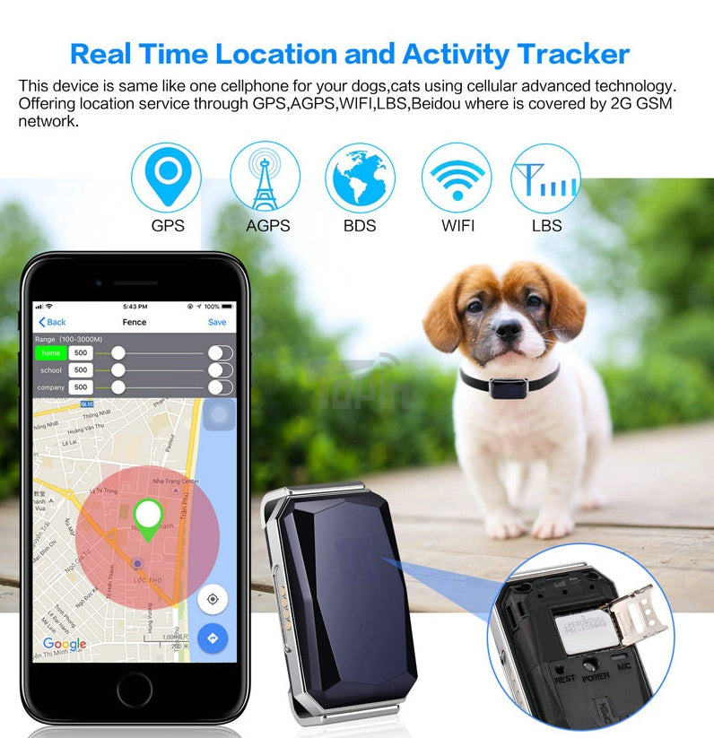 Black GPS tracker collar with app location screen on smartphone display