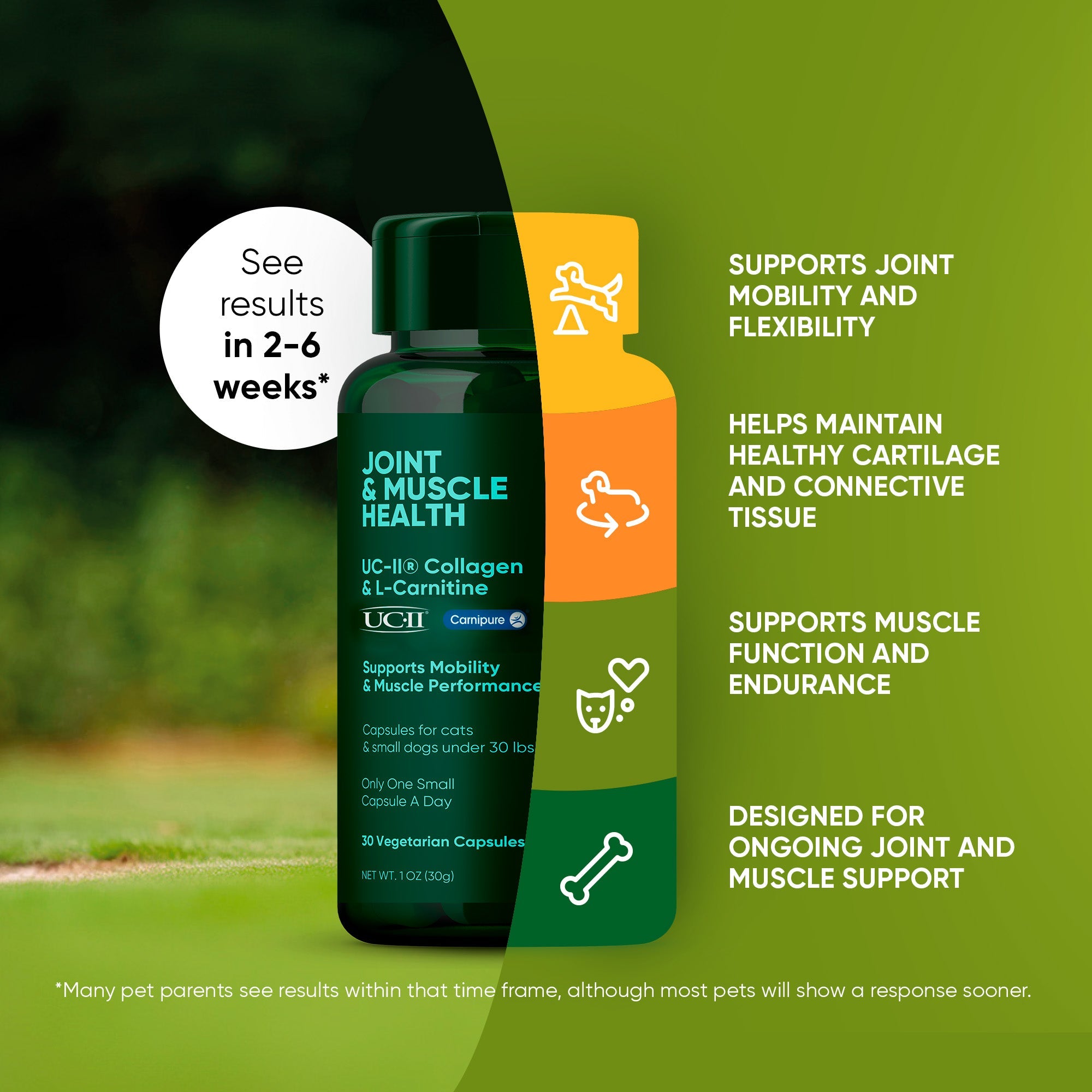 Joint & Muscle Health supplement bottle with callouts for mobility, cartilage, and muscle support.