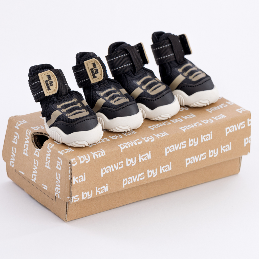 Kai- Dog sneakers in black with Velcro closures and tan accents on a shoebox