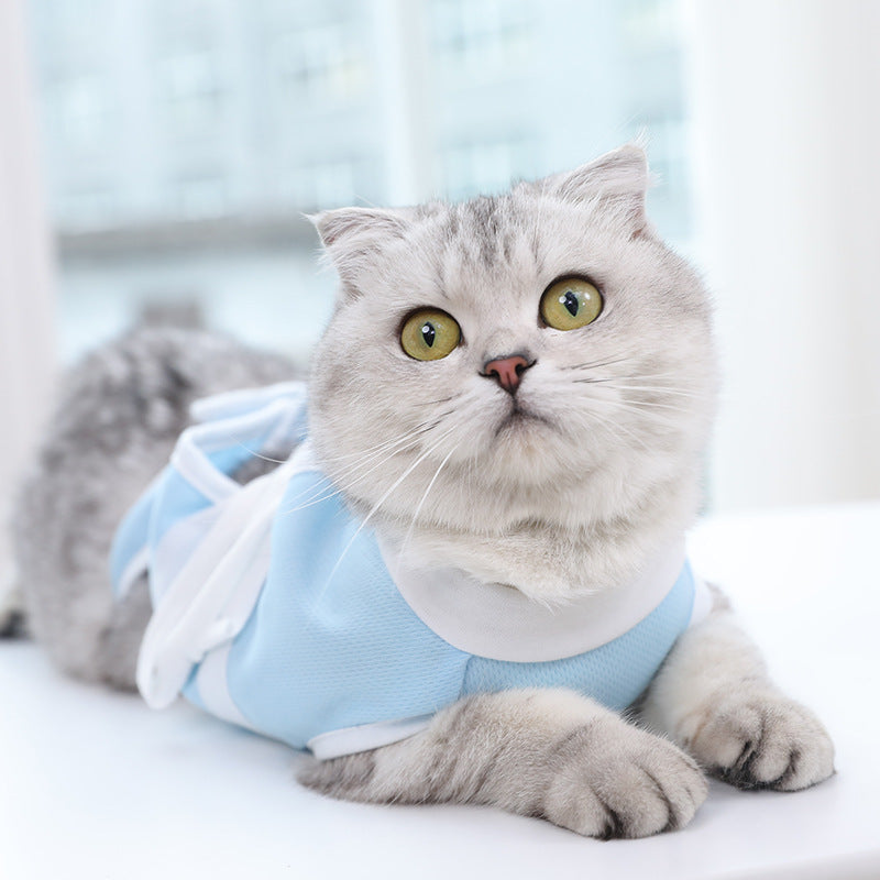 Gray cat wearing light blue sleeveless outfit with white collar and trim