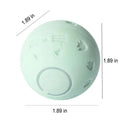 Crazy Ball Interactive Pet Toy
