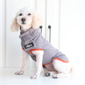 Grey cable-knit pet sweater with orange trim and small logo patch