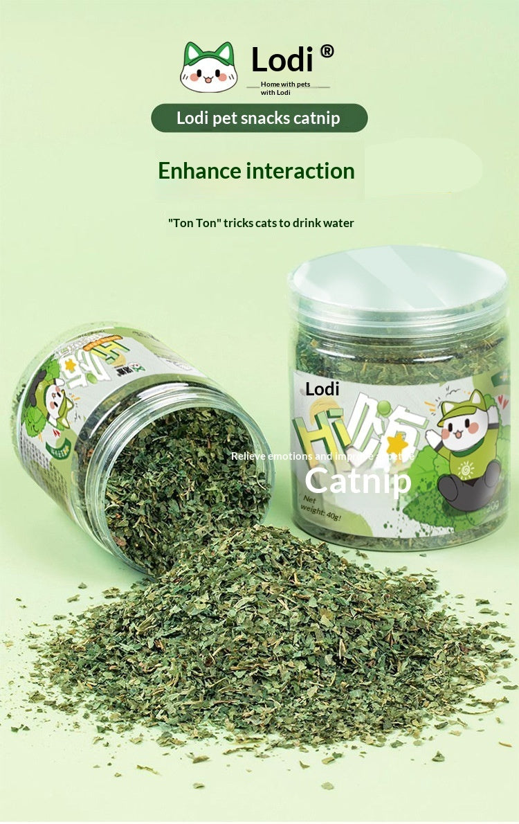 Catnip Cat Grass Treats