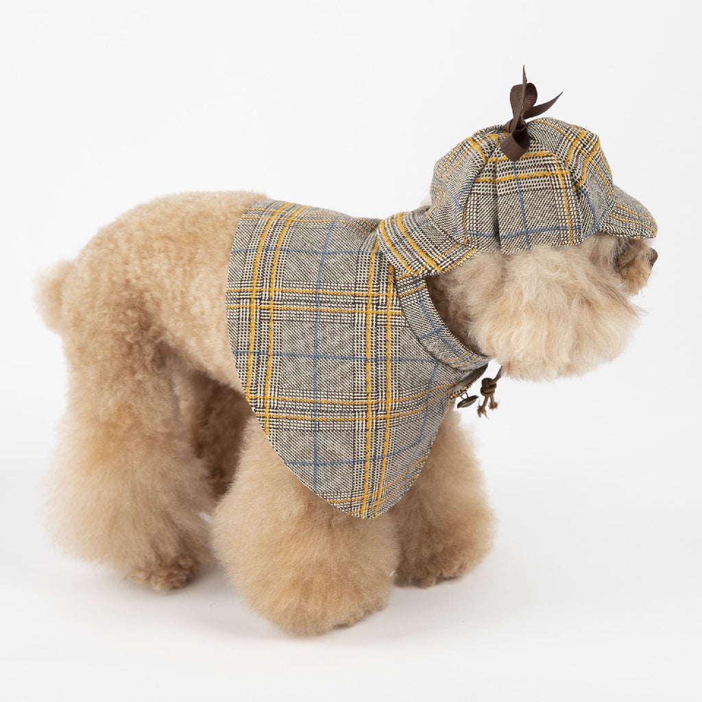 Plaid dog cloak with hood, side view, button-front and cape