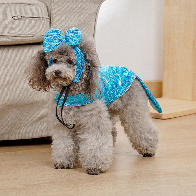 Small dog wearing a blue mermaid-style pet outfit with ruffled collar and tail fin