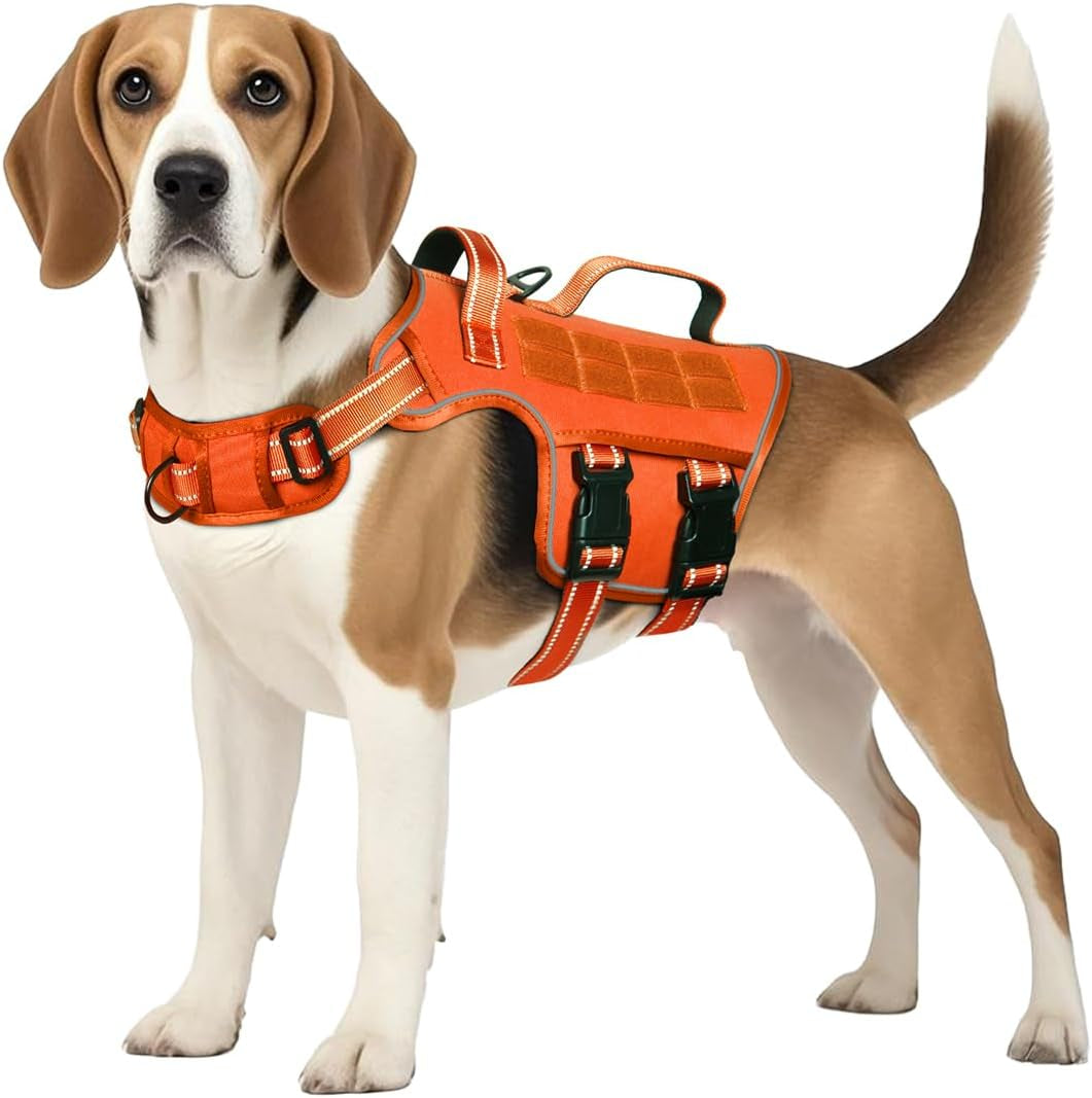 Dog tactical harness vest in orange with padded chest panel and front hardware buckles