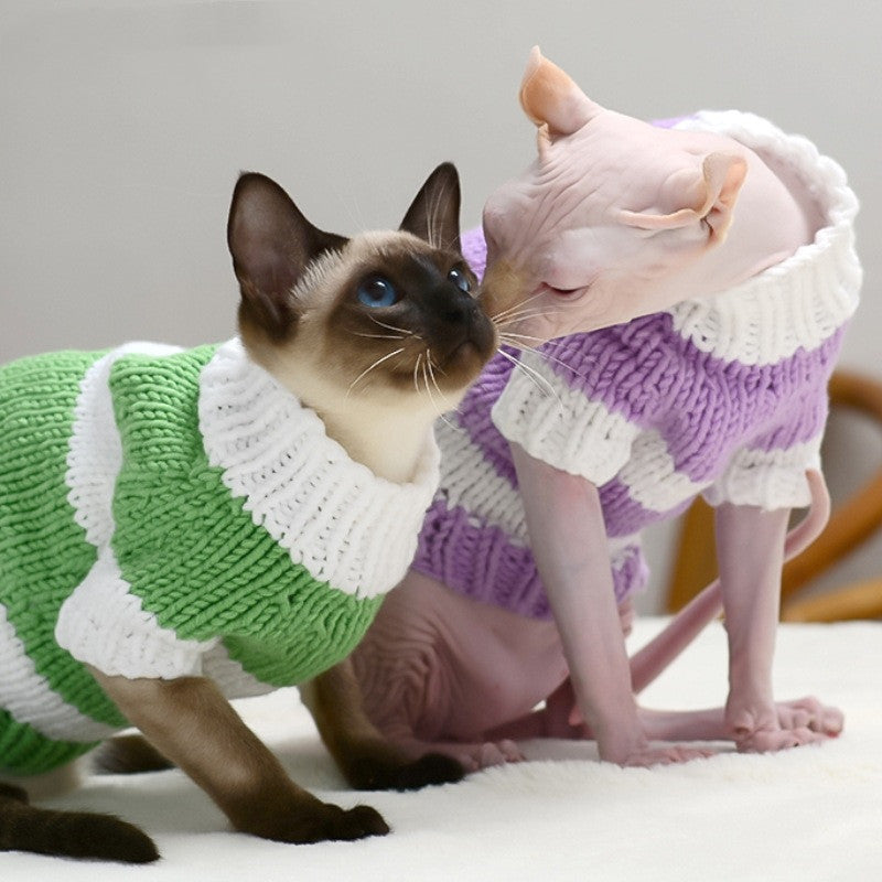 Cat warm sweater, green and white striped knit turtleneck with purple sweater beside