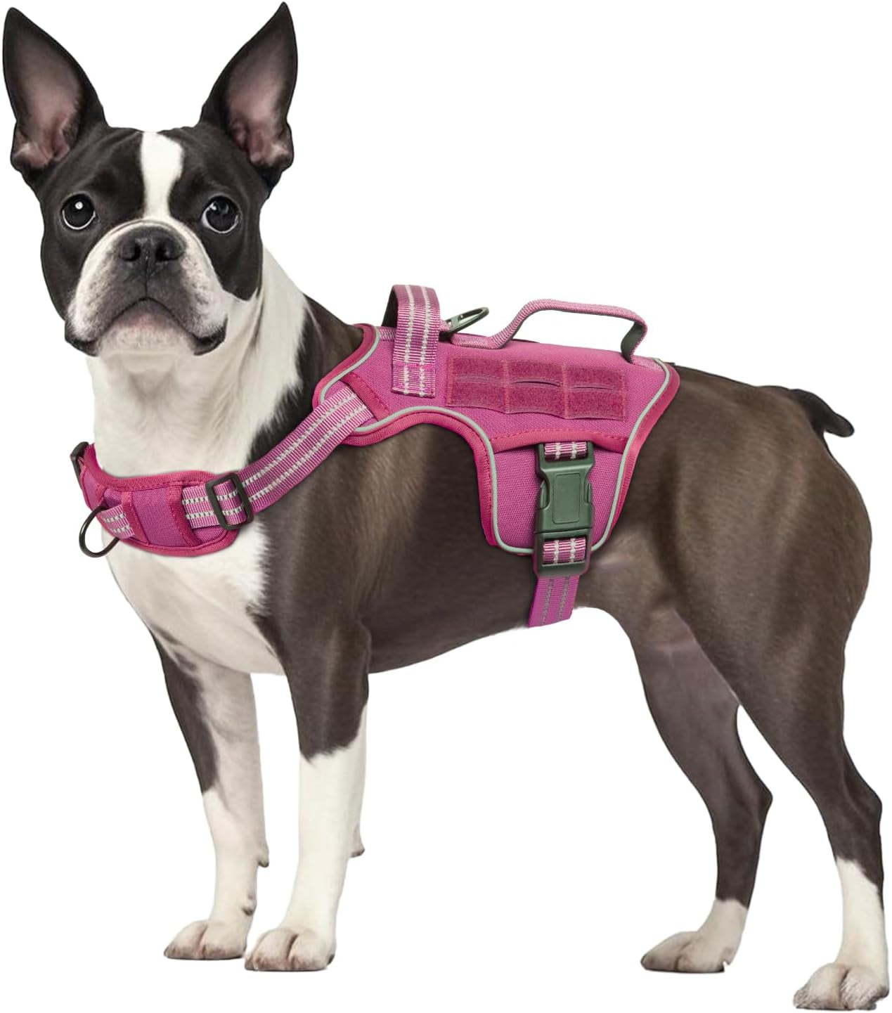 Pink dog tactical harness vest with chest straps and black buckles