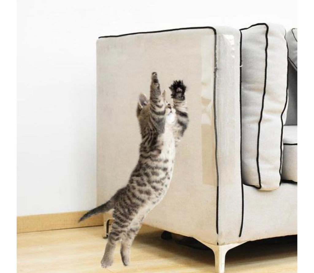 Cat scratching beige furniture guard panel with black trim