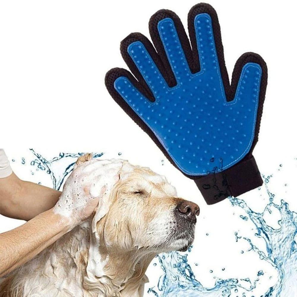 Blue grooming glove with rubber nubs, worn on hand while brushing a light dog.