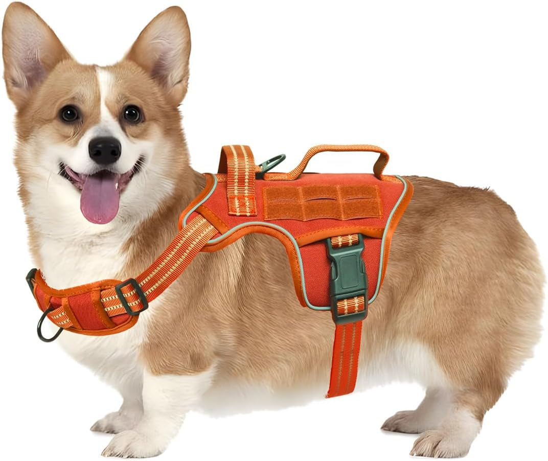 Dog tactical MOLLE harness, orange vest with buckle straps and MOLLE panel