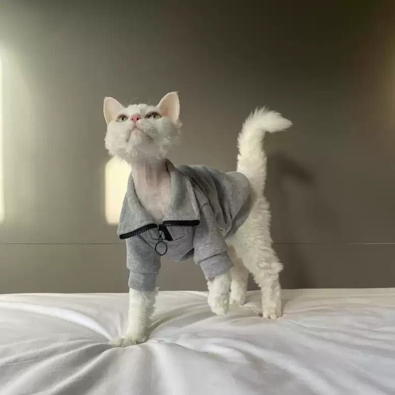 Gray cotton cat jacket with zipper lapel collar, black trim and front ring