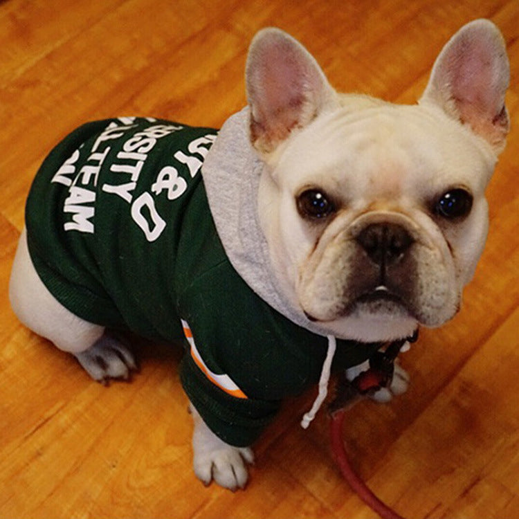 Dark green pet sweater with hood, white graphic lettering, and orange-striped cuffs