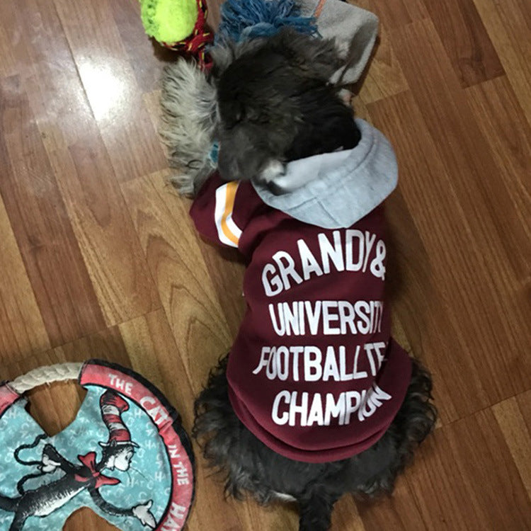 Maroon pet sweater with white graphic text and orange-striped sleeve trim