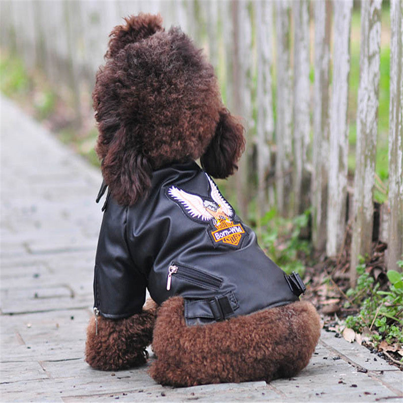 Pet dog jacket for small dogs, dark coat with eagle patch and front zipper closure