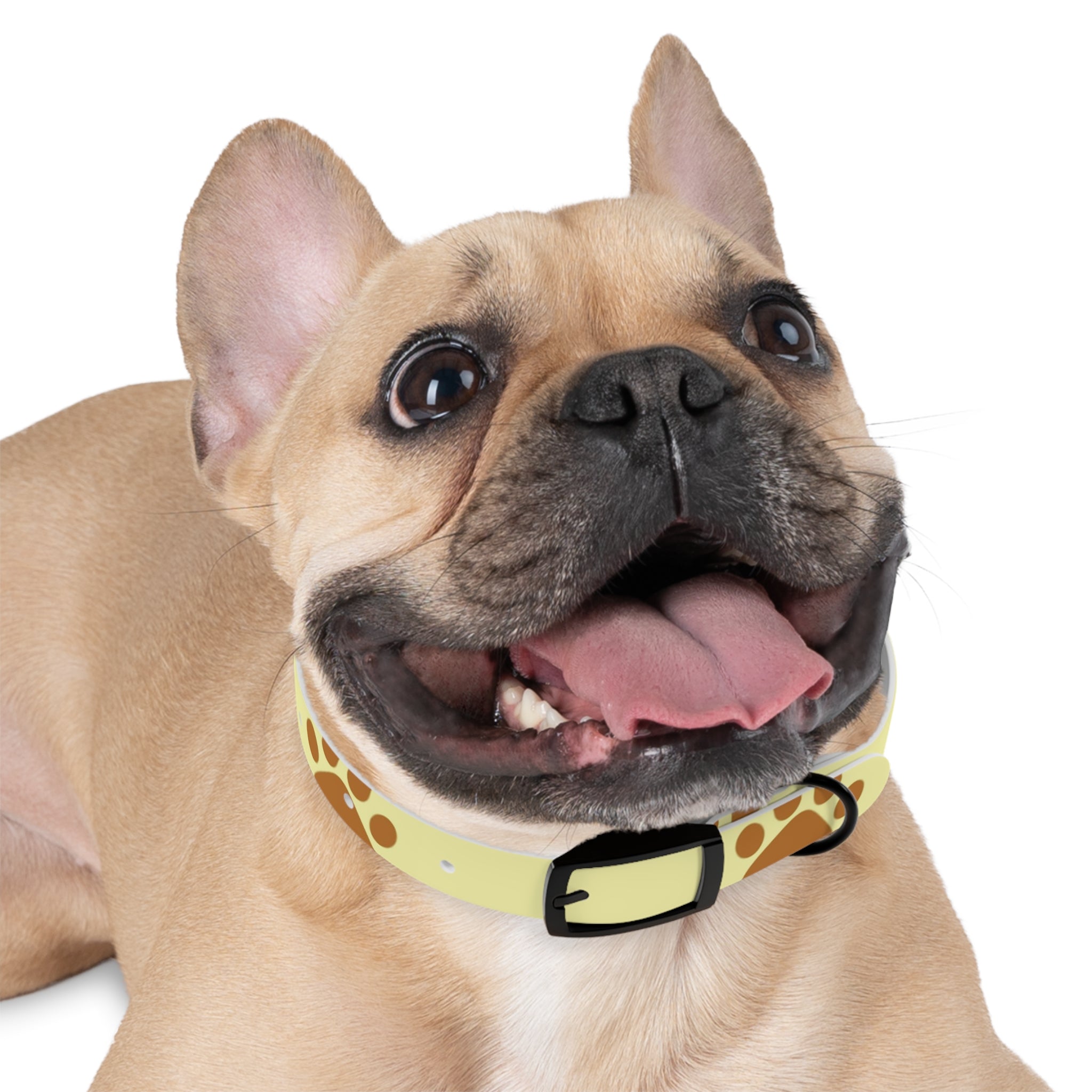 Golden Pawprints on Buttercream Sky Pet Collar — Waterproof TPU, 4 Buckle Finishes, S–XL