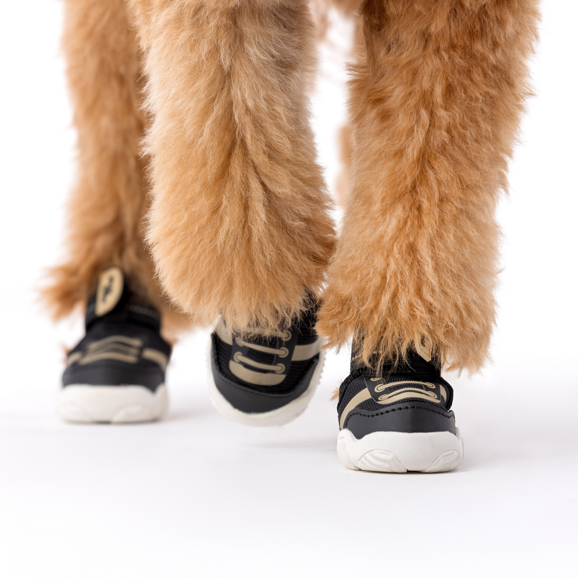 Kai- Dog sneakers in black on a dog with light brown fur legs