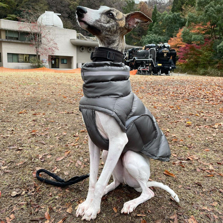 Dark grey quilted dog winter vest with high collar and padded torso