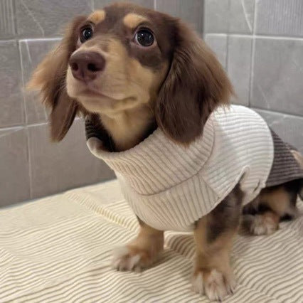 Two-tone knitted pet turtleneck sweater on dog, cream with dark brown side panel