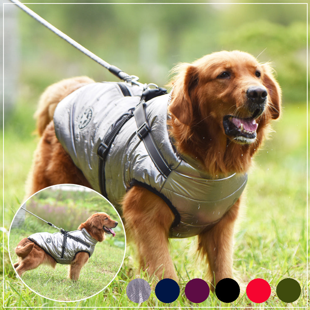 Dog waterproof puffer coat with built-in harness, light gray, with front leash