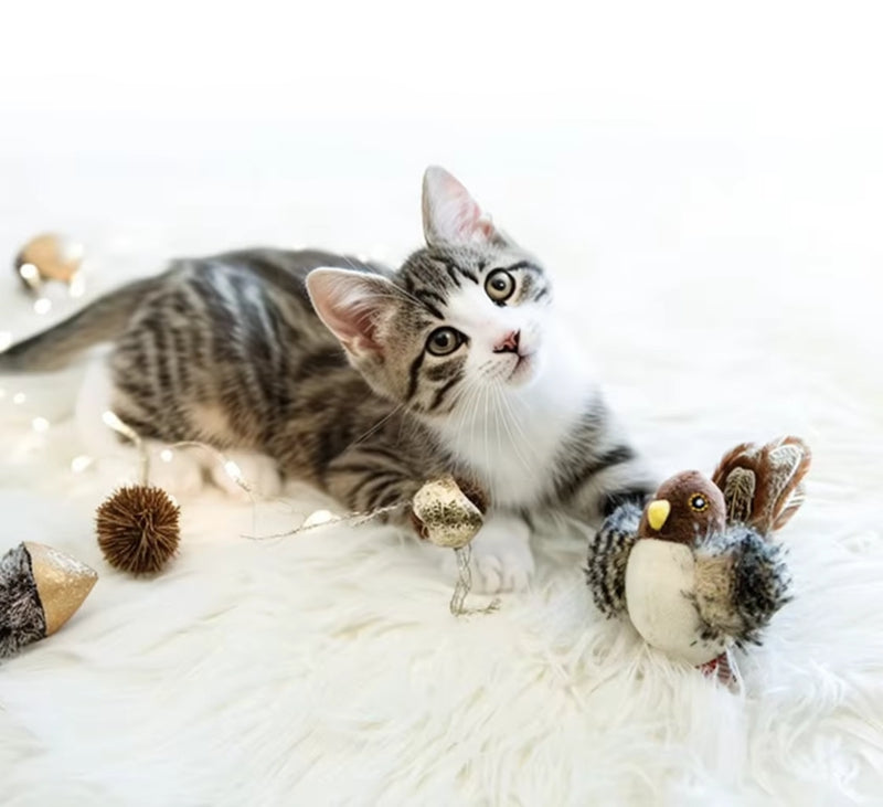 Electric Chirping Catnip Bird Cat Toys