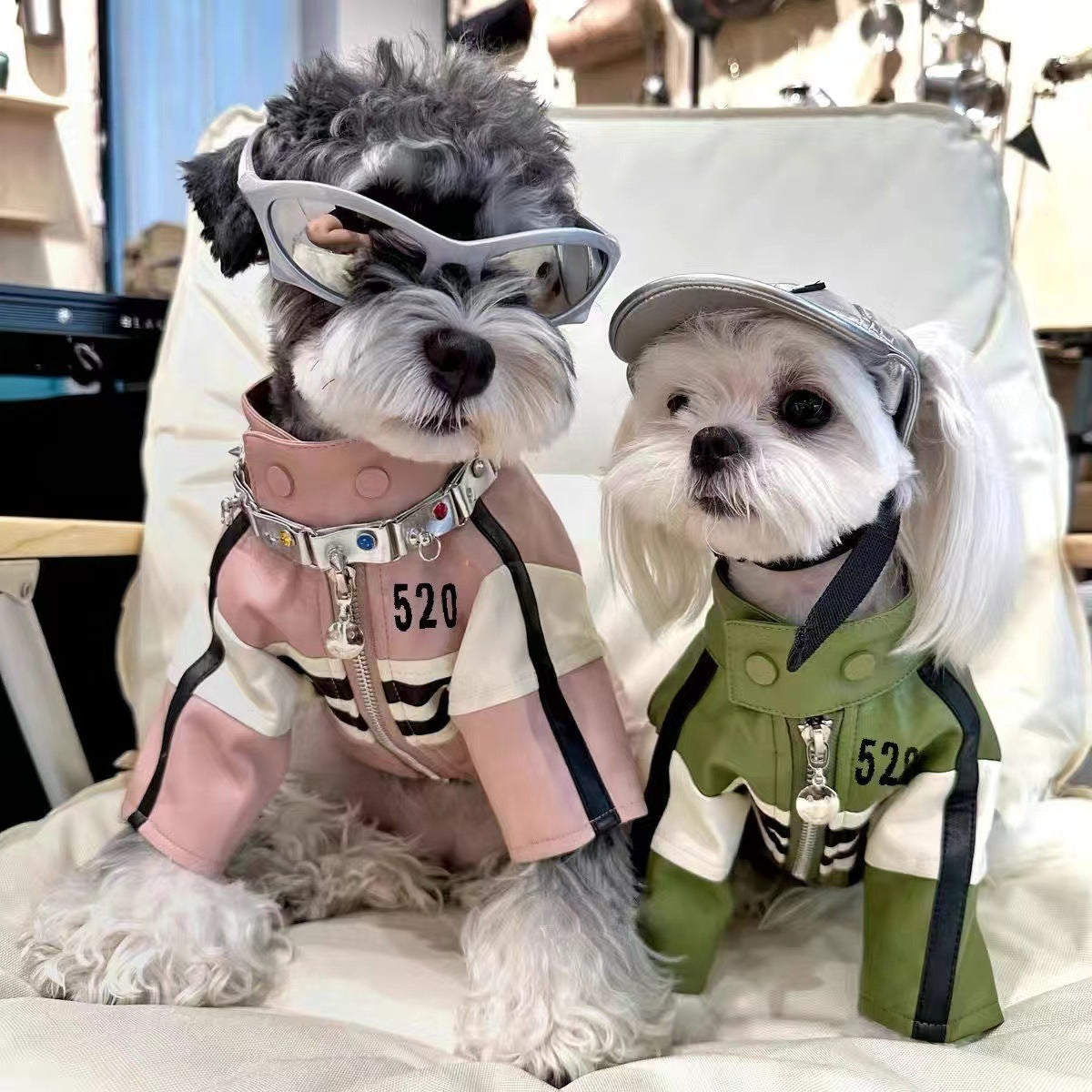 Pet motorcycle jacket coat, pink and green with zip front and striped sleeves