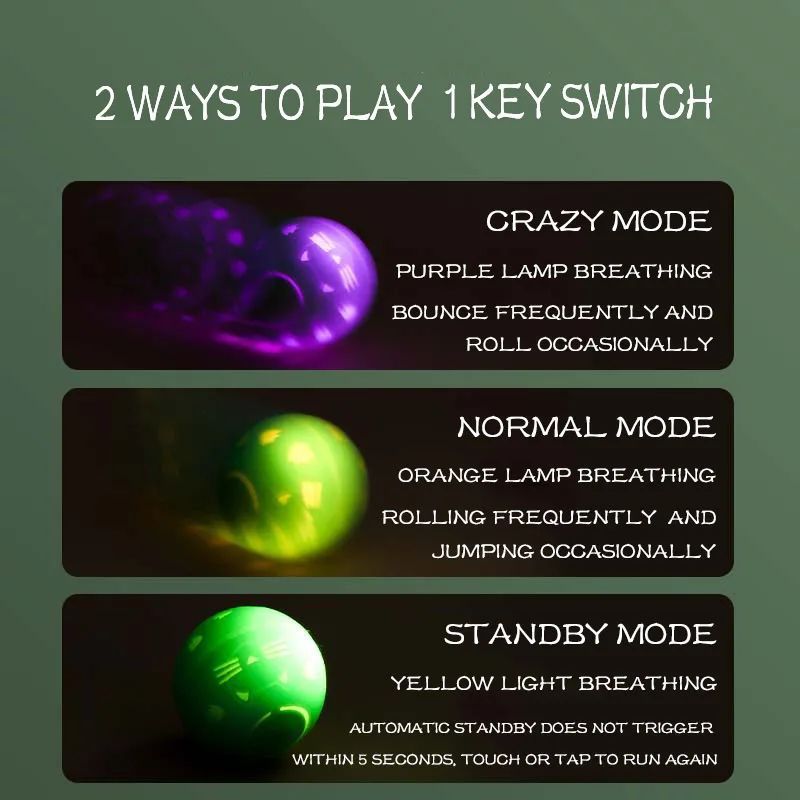 Crazy Ball Interactive Pet Toy