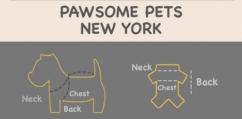 Pet sweater fit diagram: neck, chest, and back areas