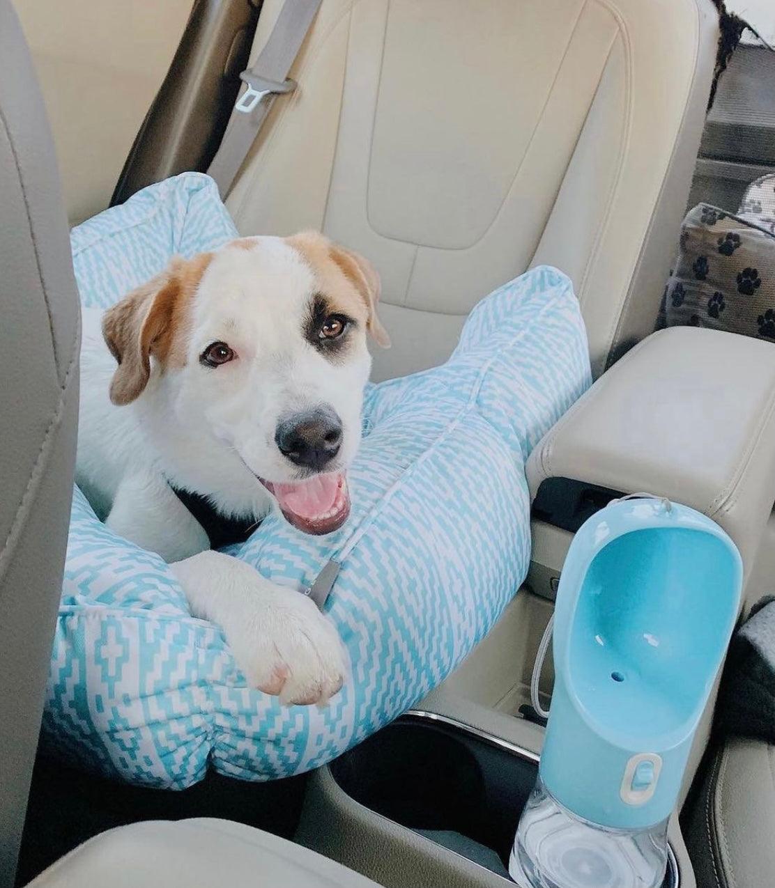 Blue 2-in-1 pet feeder next to a dog in a car, flip-top dispensing bowl