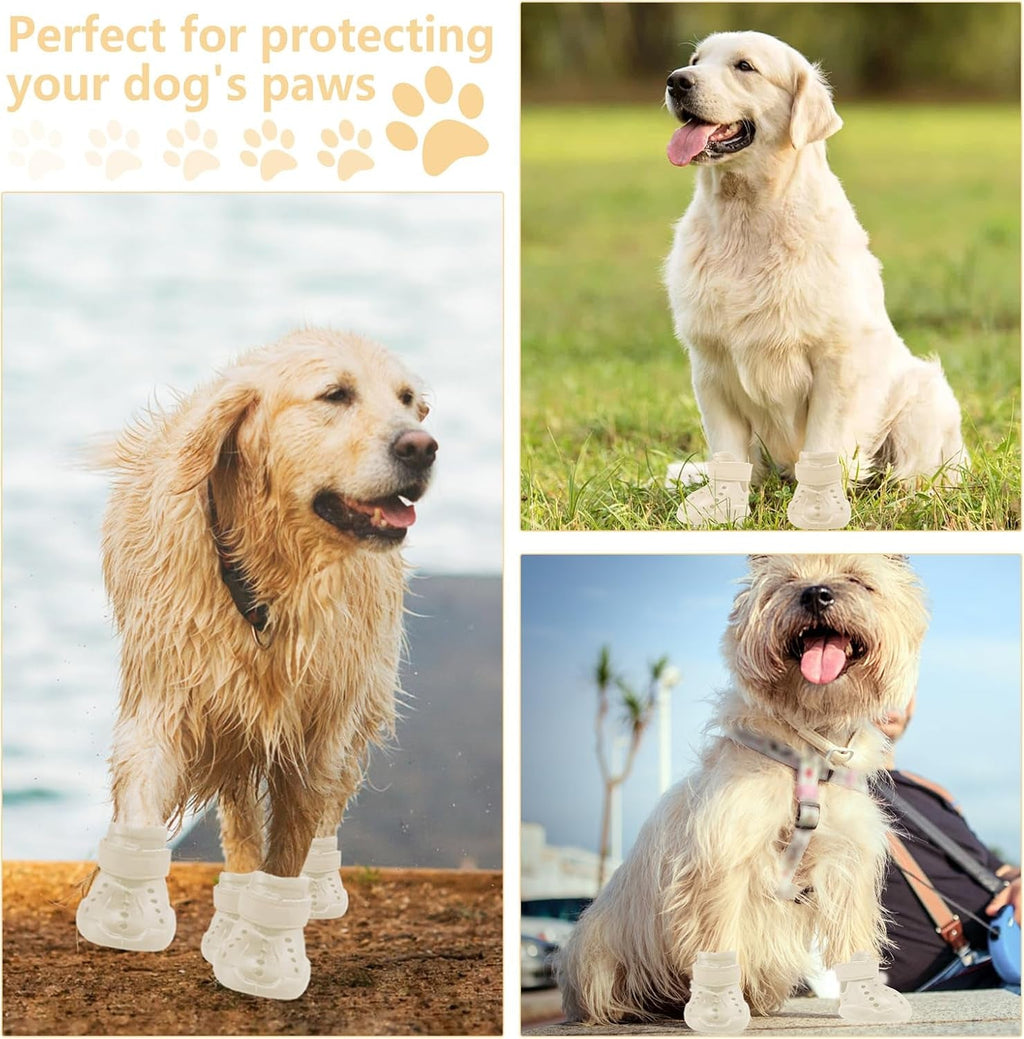 Cream dog boots on a standing dog, with paw protection shown up close