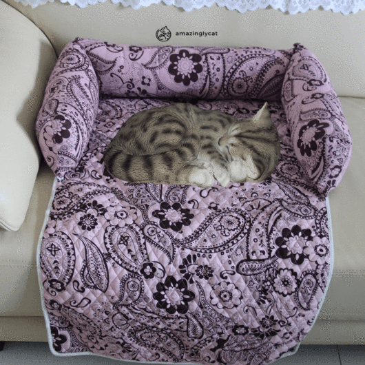 Lilac paisley floral comfy cat bed with rolled bolsters; cat sleeping inside