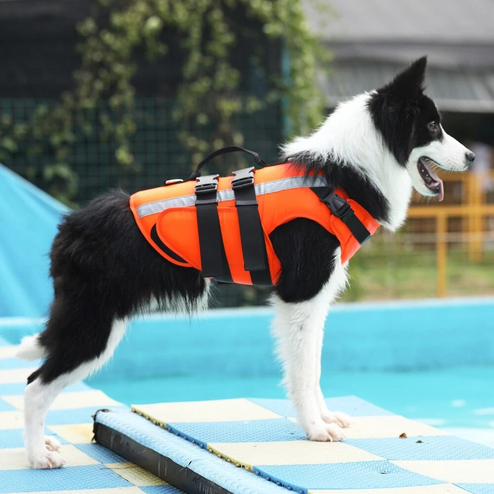 Orange dog life jacket vest with reflective gray stripe and black harness straps on dog