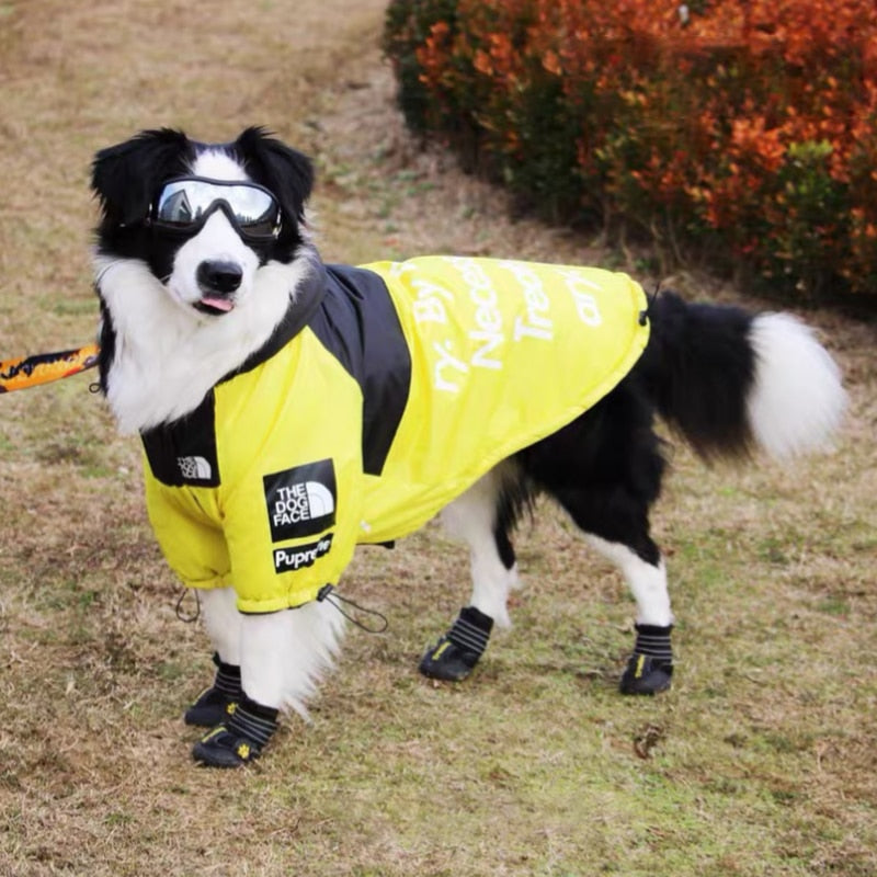 Windproof Waterproof Reflective Dog Rain Jacket — Hooded, Lightweight, Sizes S–5XL