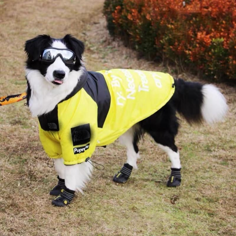 Windproof Waterproof Reflective Dog Rain Jacket — Hooded, Lightweight, Sizes S–5XL