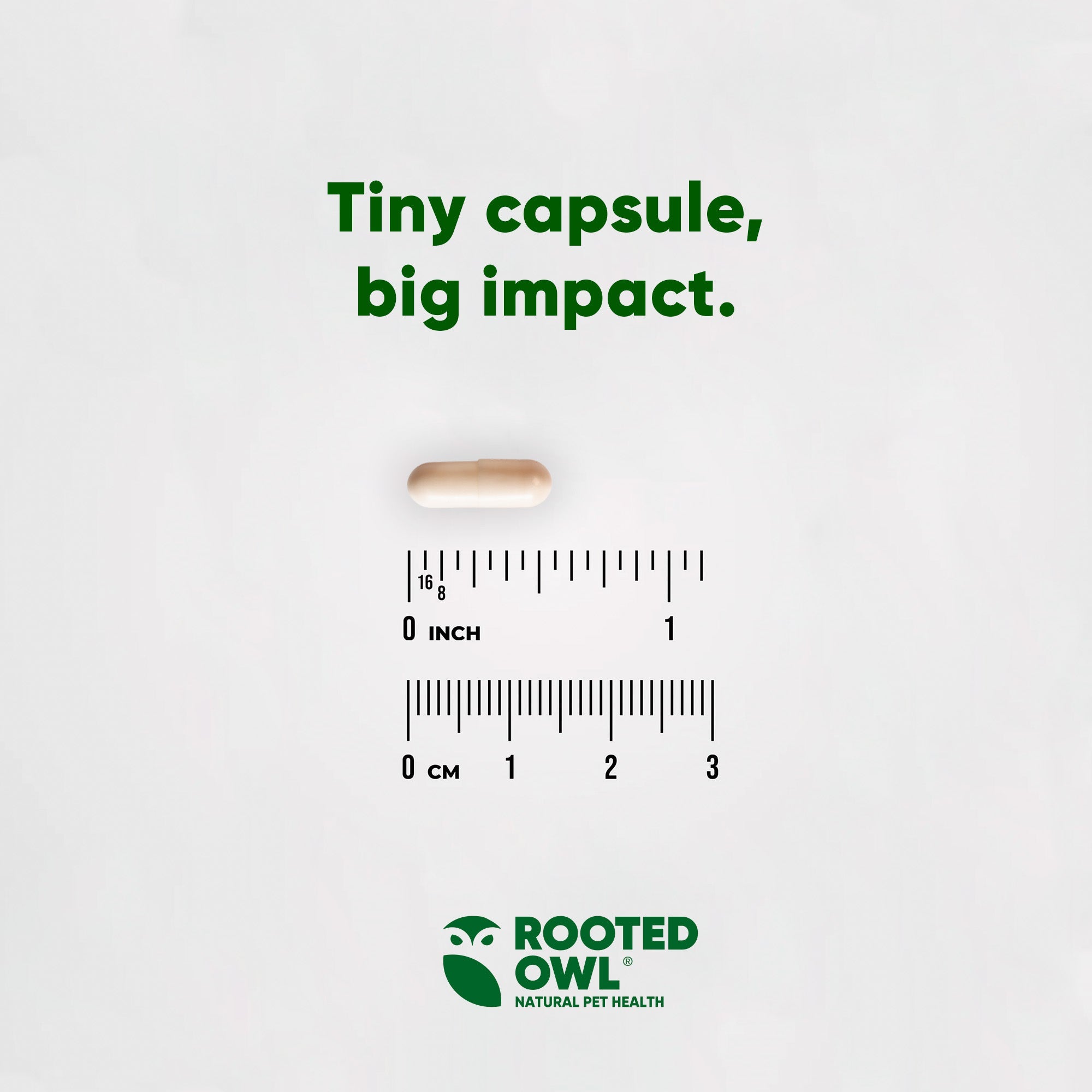 Tiny supplement capsule size graphic with ruler markings and Rooted Owl logo.