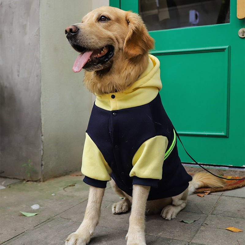 Navy dog hoodie sweater with yellow hood and neon green piping