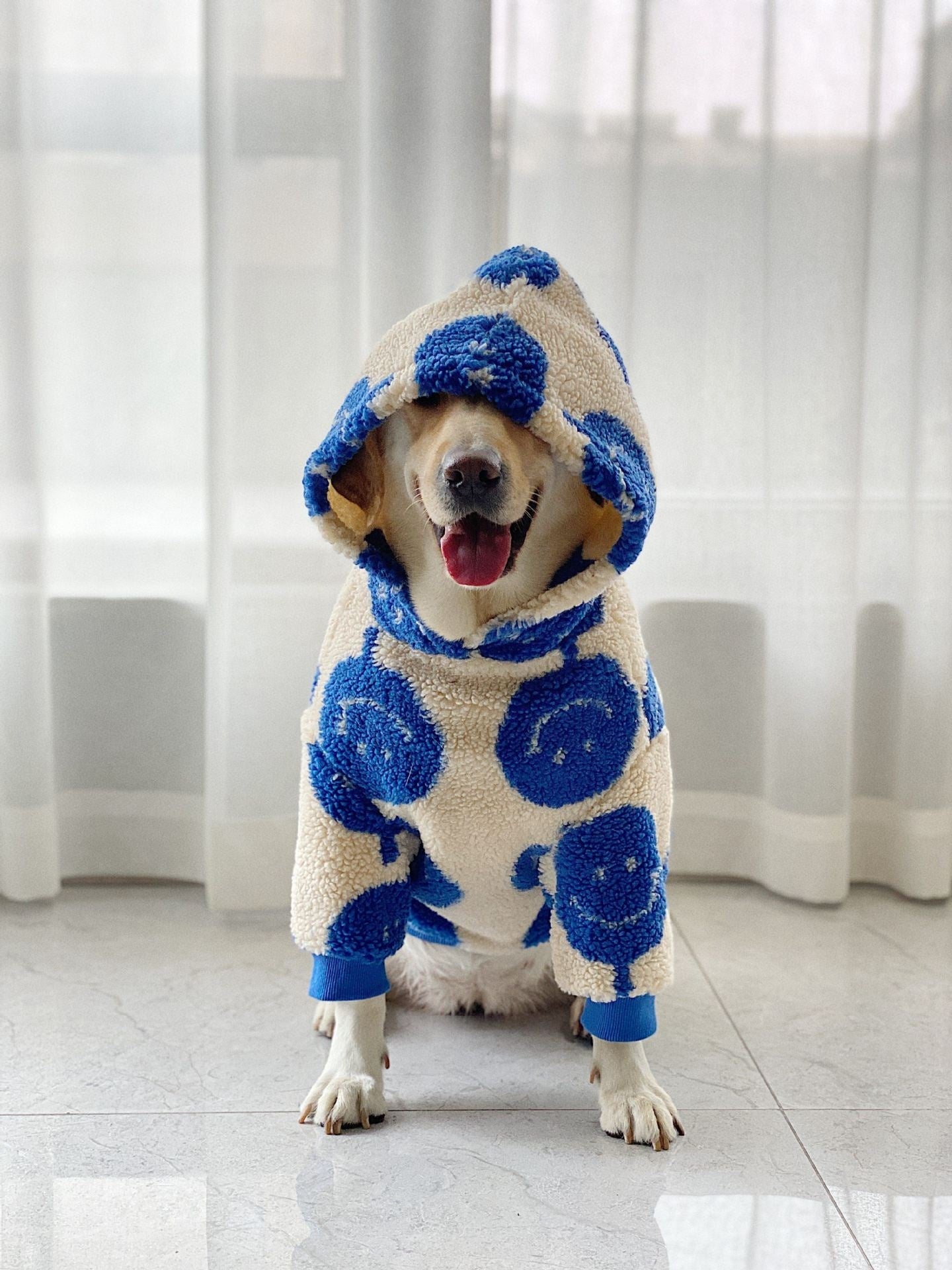 Blue-and-white plush dog hoodie with hood and paw print pattern